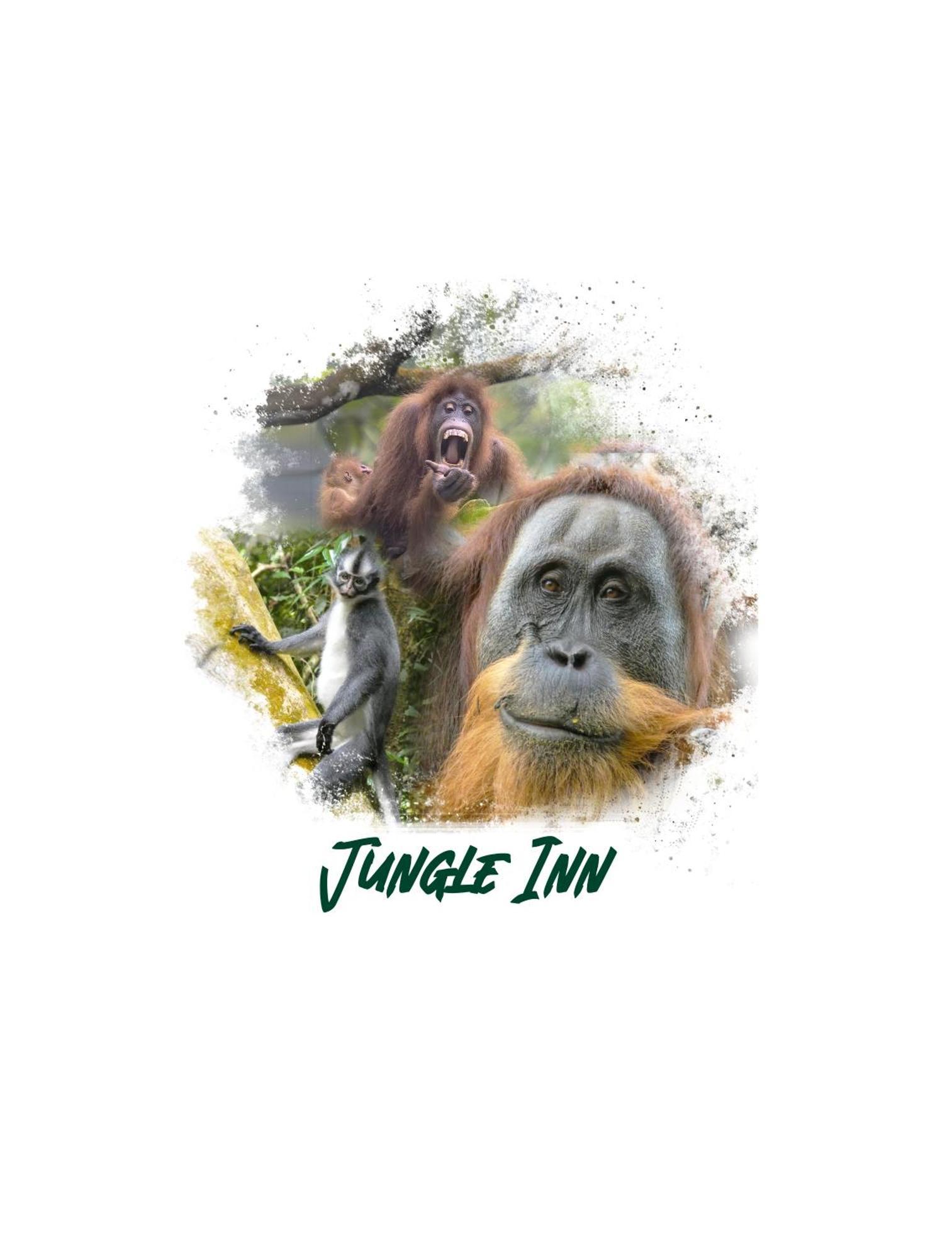 Jungle Inn 武吉拉旺 外观 照片